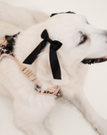 Load image into Gallery viewer, Petite Bow Clips - Midnight
