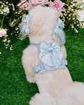 Load image into Gallery viewer, Satin Harness Bow - Sky
