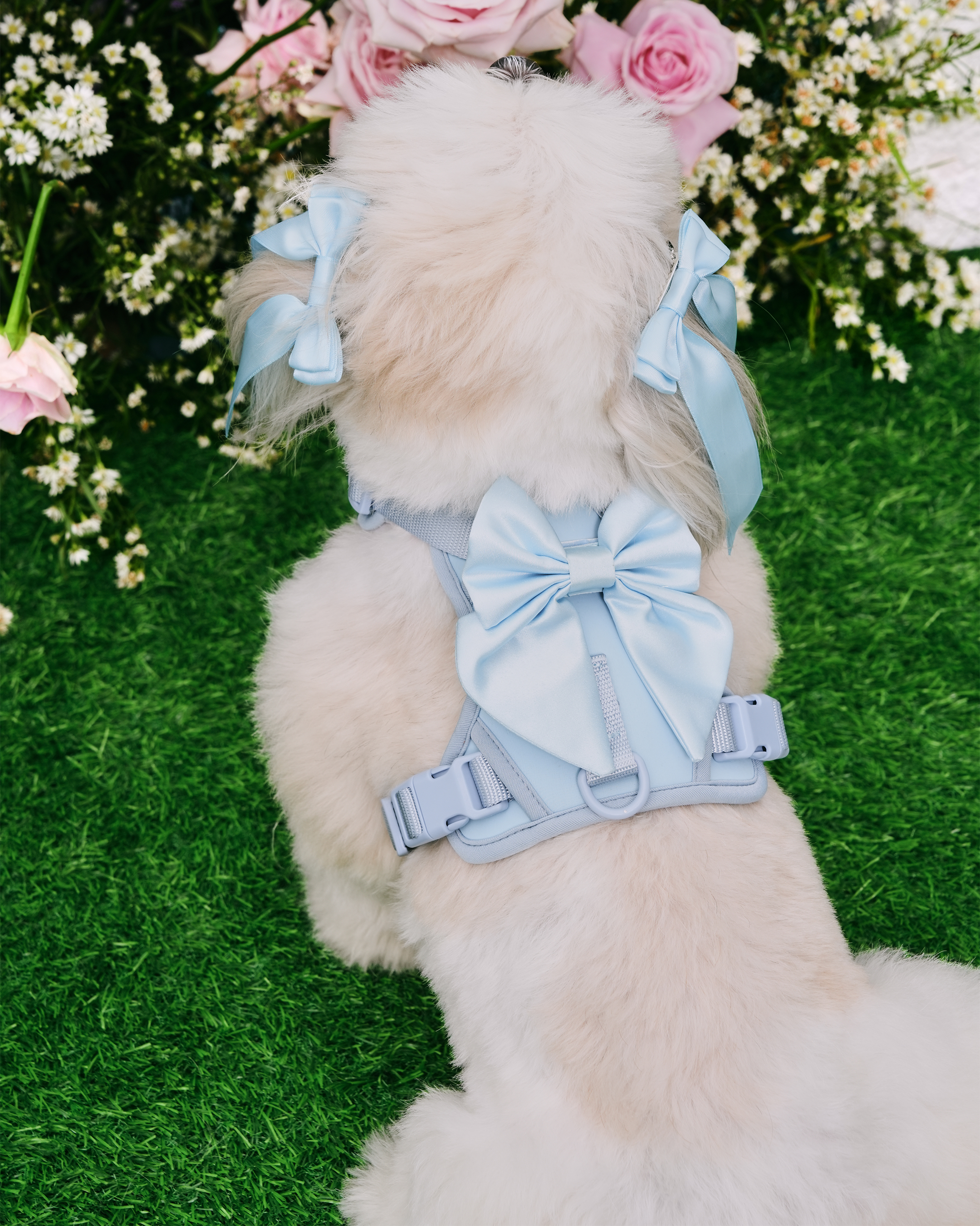 Petite Bow Clips - Sky
