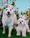 Load image into Gallery viewer, Petite Bow Clips - Sky
