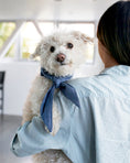 Load image into Gallery viewer, CLASSIC NECKTIE - Southlake Paws
