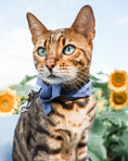 Load image into Gallery viewer, CLASSIC BANDANA - Southlake Paws
