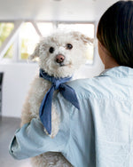 CLASSIC NECKTIE