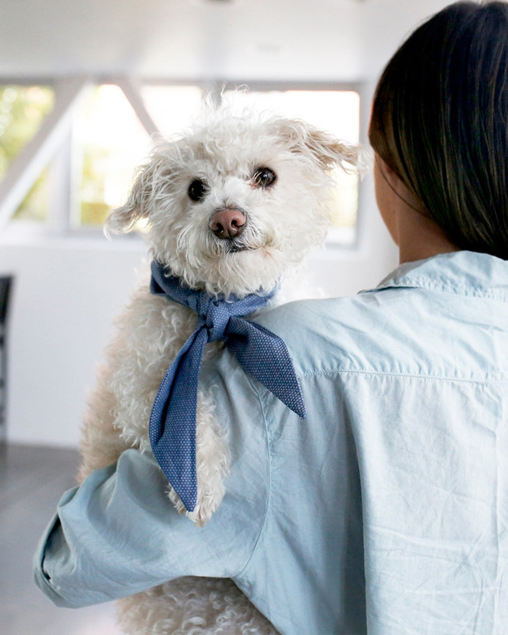 CLASSIC NECKTIE - Southlake Paws