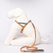Nubuck Celestial Dog Leash