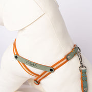 Nubuck Celestial Dog Harness