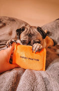 Load image into Gallery viewer, CHEWY PAWTTON PLUSH DOG TOY - Southlake Paws
