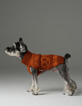 Load image into Gallery viewer, Pretzel Pet Sweater - Tofee Orange
