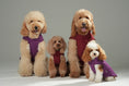 Load image into Gallery viewer, Reversible Dog Vest Jacket -  Red Brown
