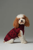 Load image into Gallery viewer, Pretzel Pet Sweater - Burgundy Red
