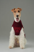 Load image into Gallery viewer, Pretzel Pet Sweater - Burgundy Red

