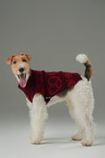 Load image into Gallery viewer, Pretzel Pet Sweater - Burgundy Red
