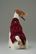 Load image into Gallery viewer, Pretzel Pet Sweater - Burgundy Red
