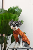 Load image into Gallery viewer, Pretzel Pet Sweater - Tofee Orange
