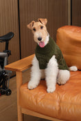 Load image into Gallery viewer, Pretzel Pet Sweater - Olive Green
