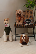 Load image into Gallery viewer, Pretzel Pet Sweater - Burgundy Red
