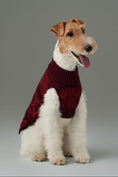 Load image into Gallery viewer, Pretzel Pet Sweater - Burgundy Red
