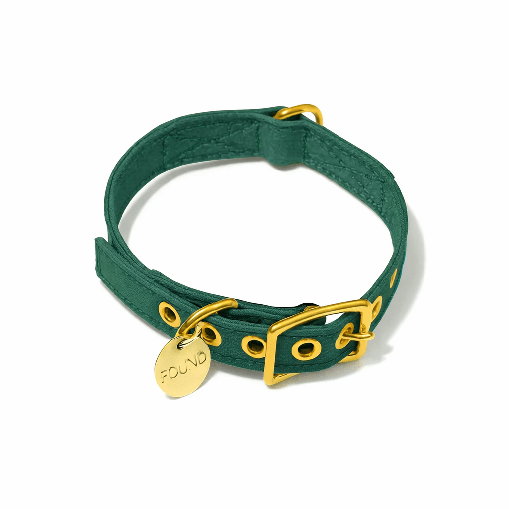 Dog Collars Premium Pine Cotton Canvas Cat & Dog Collar