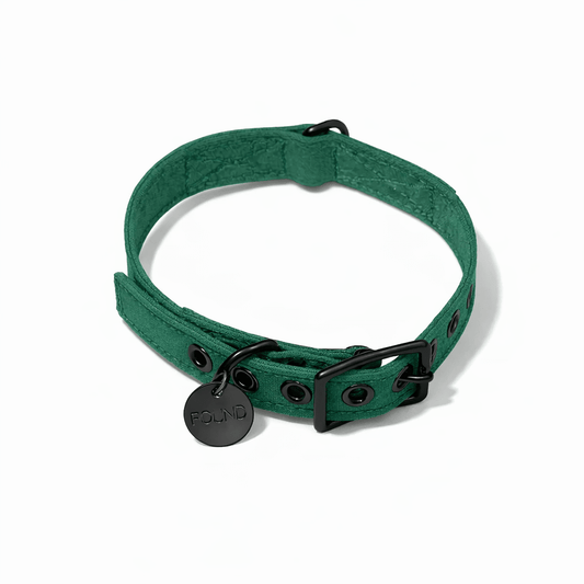 Pine Waxed Cotton Canvas Cat & Dog Collar – Matte Black Hardware