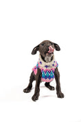 Load image into Gallery viewer, Pink Ski Bum Dog Sweater
