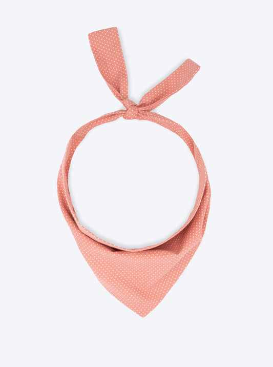 PARTY BANDANA - Southlake Paws
