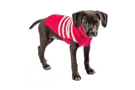 Katie Alpaca Stripe Dog Sweater