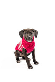 Katie Alpaca Stripe Dog Sweater