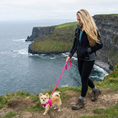 Load image into Gallery viewer, Pink Dog Leash by EcoBark - Padded Comfort Grip Leash - 4ft, 5ft, and 6ft Leash for Teacup, Small, and Medium Dogs
