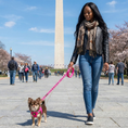 Load image into Gallery viewer, Pink Dog Leash by EcoBark - Padded Comfort Grip Leash - 4ft, 5ft, and 6ft Leash for Teacup, Small, and Medium Dogs
