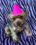 Load image into Gallery viewer, PAWTY HAT
