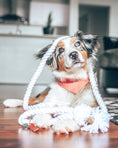 Load image into Gallery viewer, PARTY BANDANA
