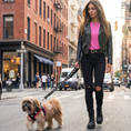 Load image into Gallery viewer, EcoBark Step In Dog Harness - XXXS to Small Breeds- Reflective Soft Mesh Harness for Teacup, Small Dogs and Puppies / Black w/ Pink Piping
