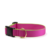 Color Market Dog Collar - Extra Wide 1.5