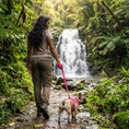 Load image into Gallery viewer, EcoBark Pink Dog Harness - Over-the-Head Soft Mesh Dog Vest Halter for Small to Medium Dogs and Puppies
