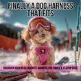 Load image into Gallery viewer, EcoBark Step In Dog Harness - XXXS to Small Breeds- Reflective Soft Mesh Harness for Teacup, Small Dogs and Puppies / Hot Pink
