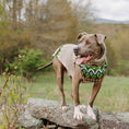 Load image into Gallery viewer, Ragg Wool Fair Isle Dog Sweater
