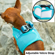 Mr. Peanut's PupTrek Harness and Leash Set,  Small Dog/Cat Soft Mesh Step In Harness Vest