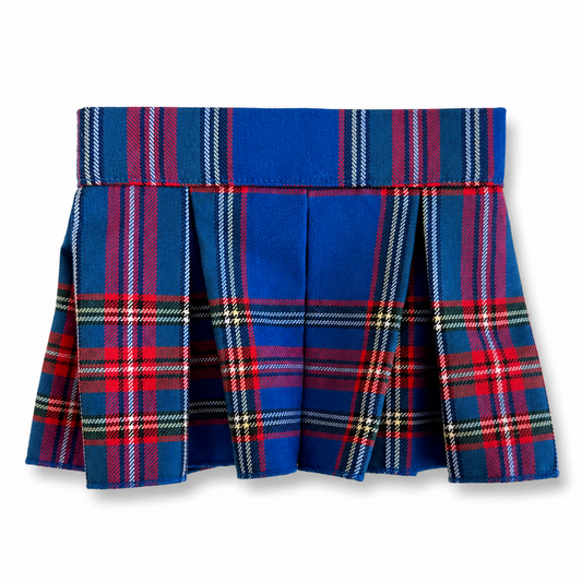 Red/Blue Plaid Skirt