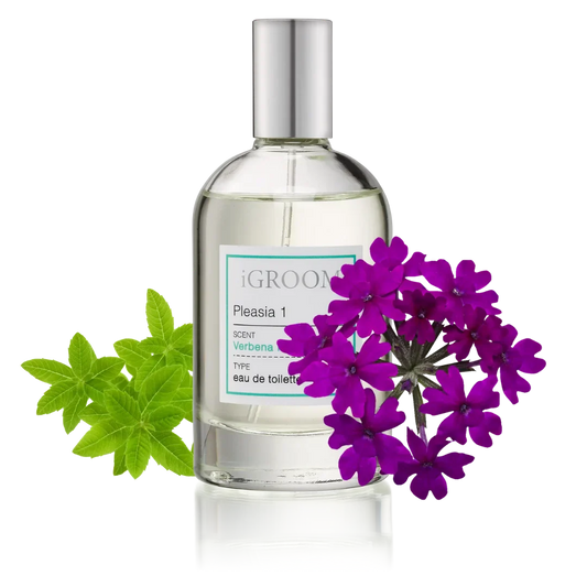 Pleasia 1 Perfume 100ml by iGroom