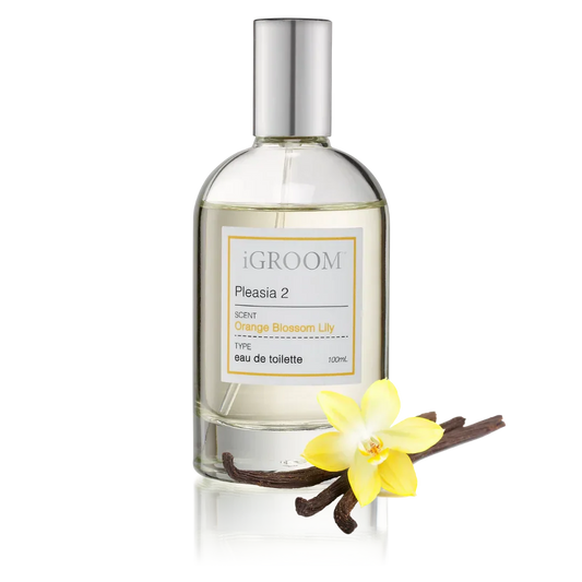  professional dog grooming tool Southlake Paws