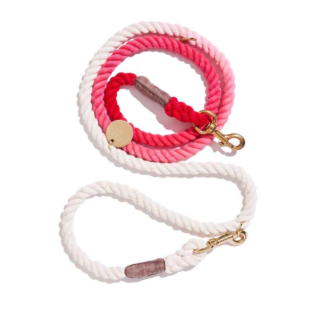 Scarlet Cotton Rope Dog Leash | Italian Solid Bronze Bolt Snaps, Adjustable | Found My Animal