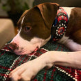 Load image into Gallery viewer, 'Captain America'' Collar

