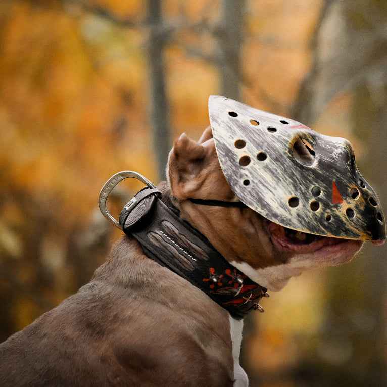 The "Haunted'' collar LIMITED