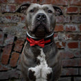 Load image into Gallery viewer, The "Bowtie" collar black
