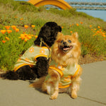 Flower Power Dog T-shirt 