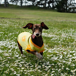Flower Power Dog T-shirt