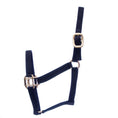 Load image into Gallery viewer, Jeffers Premium Nylon Weanling & Yearling Horse Halters, 3-Ply, 1"
