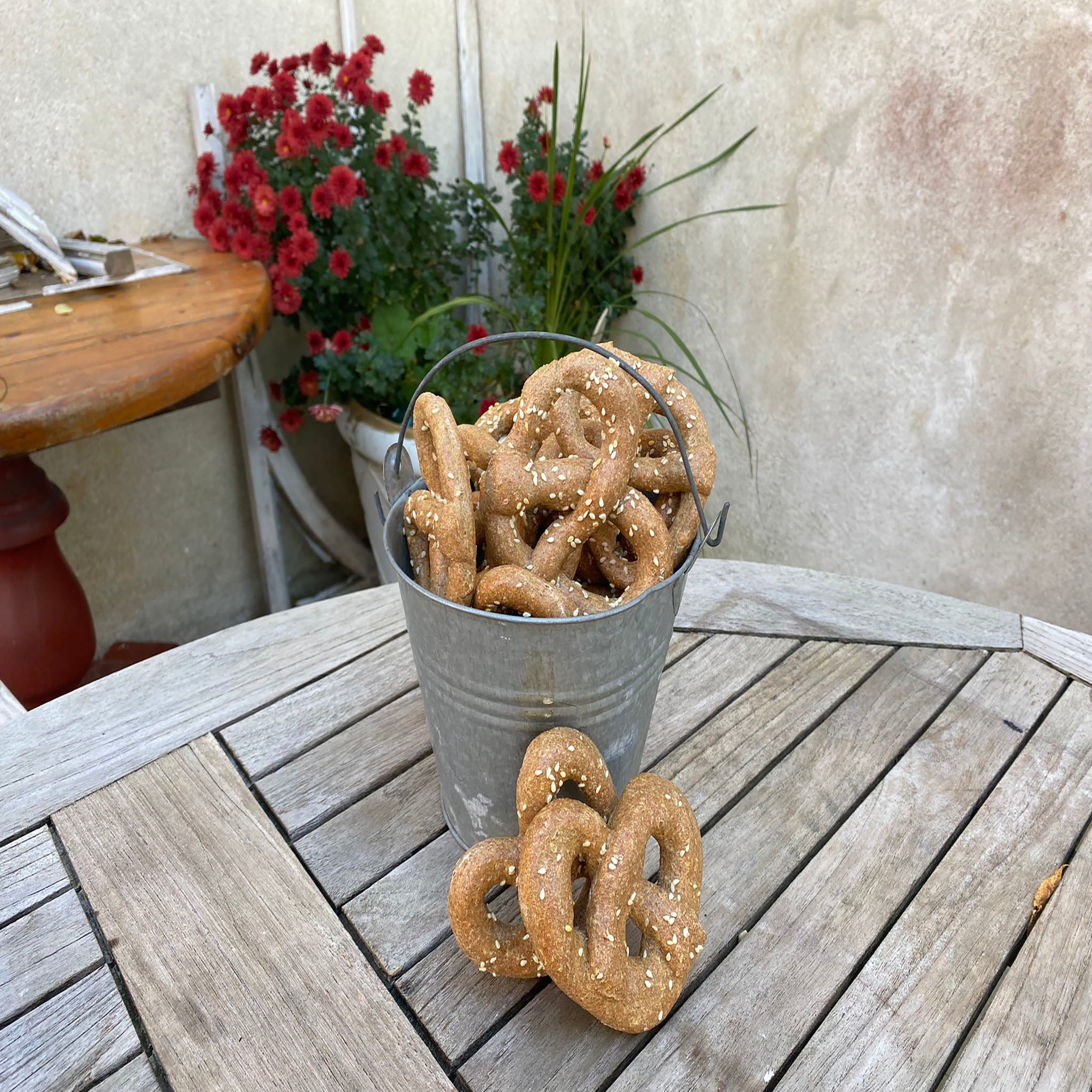 Organic Parmesan Pretzel Dog Treats Cheesy Crunchy Dog Snacks