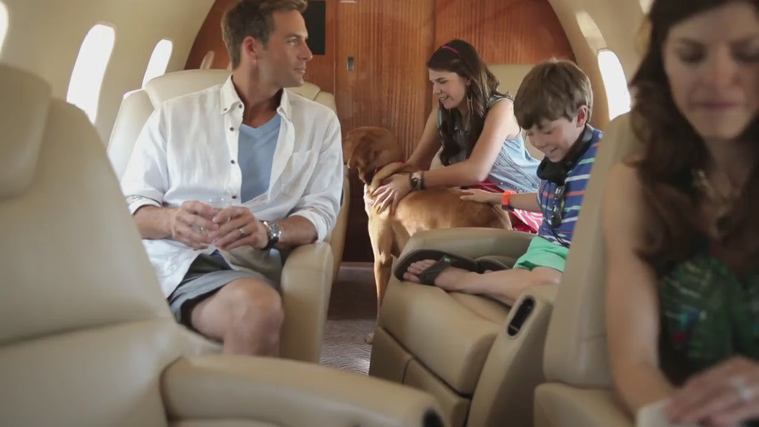 Family Playing with Dog on Private Jet - Southlake Paws 