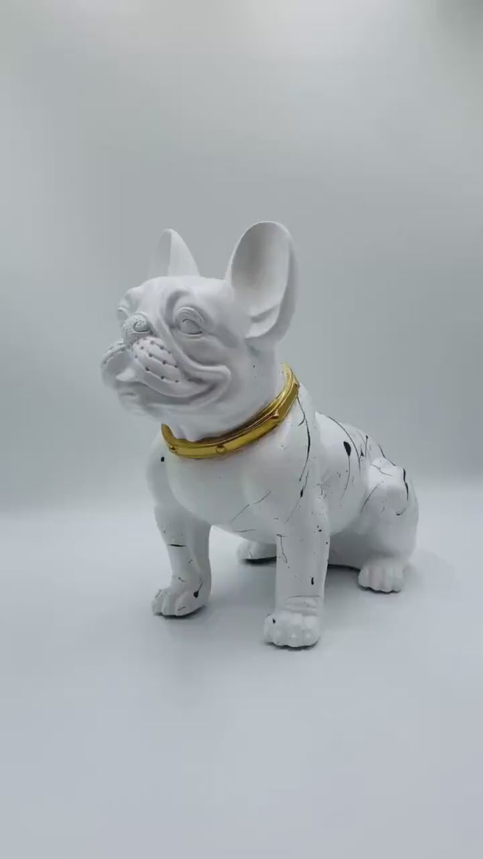 Southlake Paws Instagram Video Home Decor